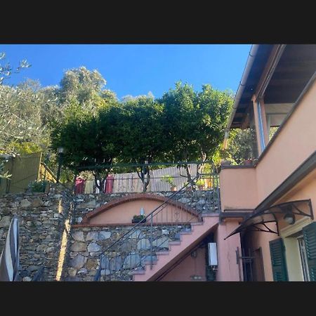 Bed and Breakfast Il Gabbiano Di Pieve Pieve Ligure Zewnętrze zdjęcie