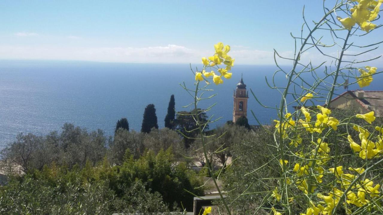 Bed and Breakfast Il Gabbiano Di Pieve Pieve Ligure Zewnętrze zdjęcie