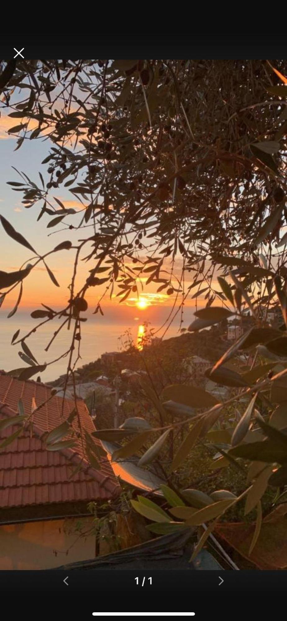 Bed and Breakfast Il Gabbiano Di Pieve Pieve Ligure Zewnętrze zdjęcie