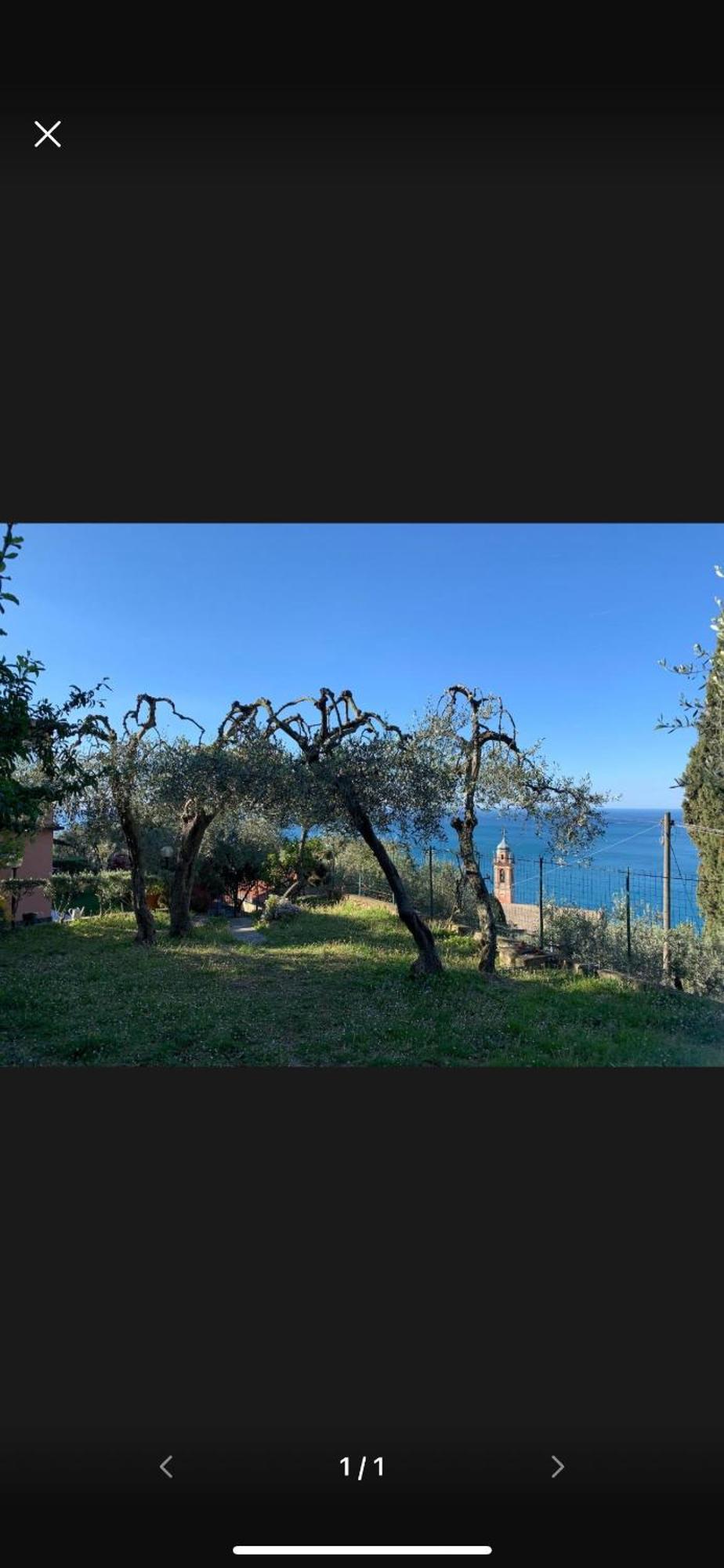 Bed and Breakfast Il Gabbiano Di Pieve Pieve Ligure Zewnętrze zdjęcie