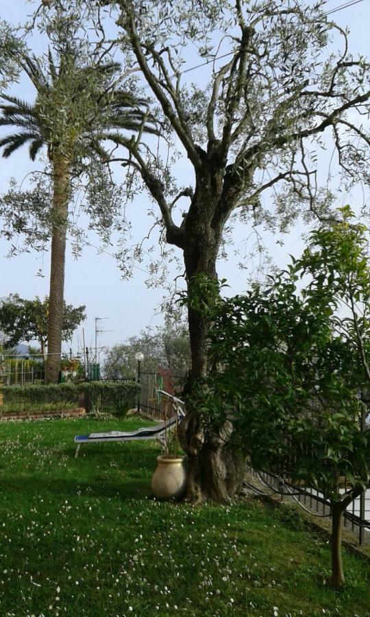 Bed and Breakfast Il Gabbiano Di Pieve Pieve Ligure Zewnętrze zdjęcie